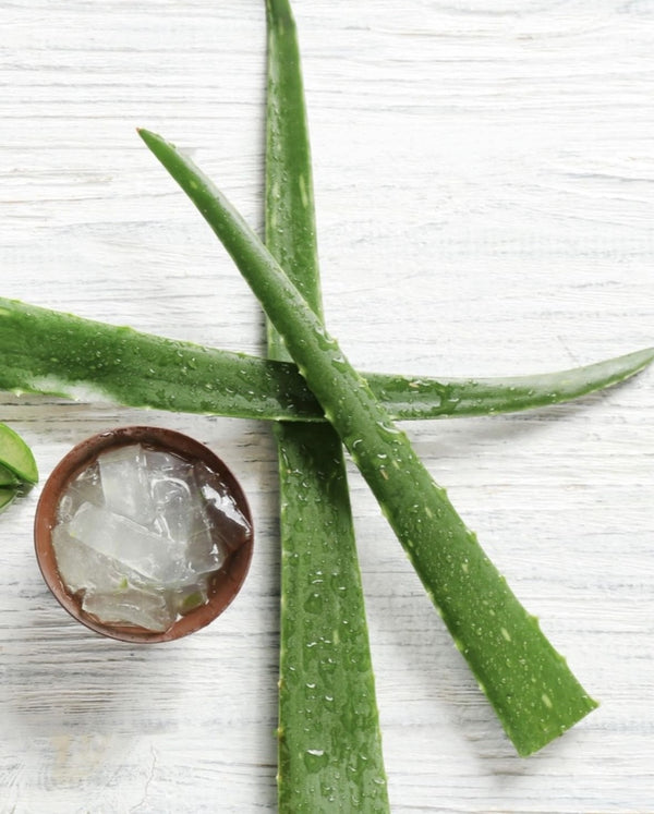 Aloe Vera Loc Spray